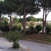 042020 Via Jacopo della Quercia della Quercia